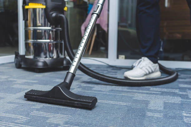 Professional Carpet Cleaning